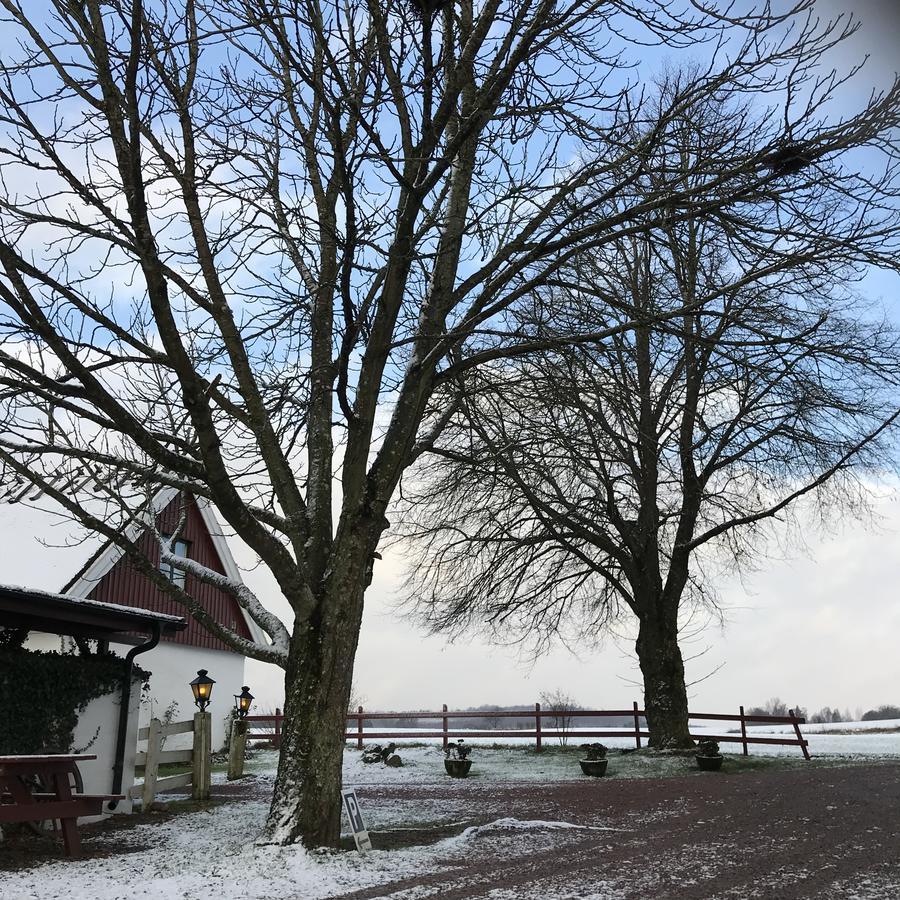 Husargårdens Bed&Breakfast Sjöbo Exteriör bild